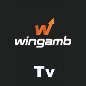 wingamb tv